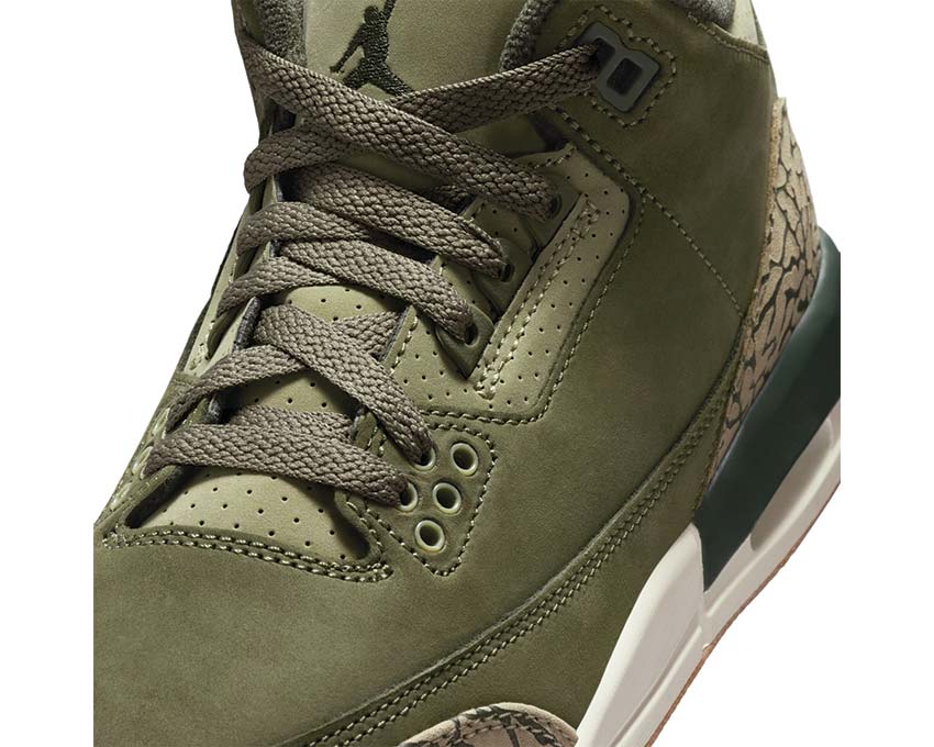 Air Jordan 3 Retro GS "Sequoia"